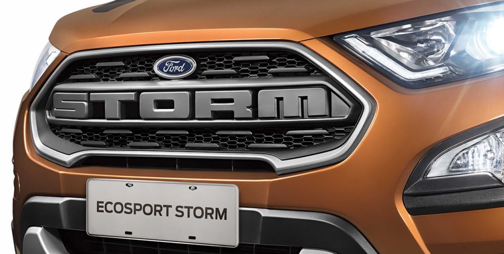 Lưới tản nhiệt Ford EcoSport Storm