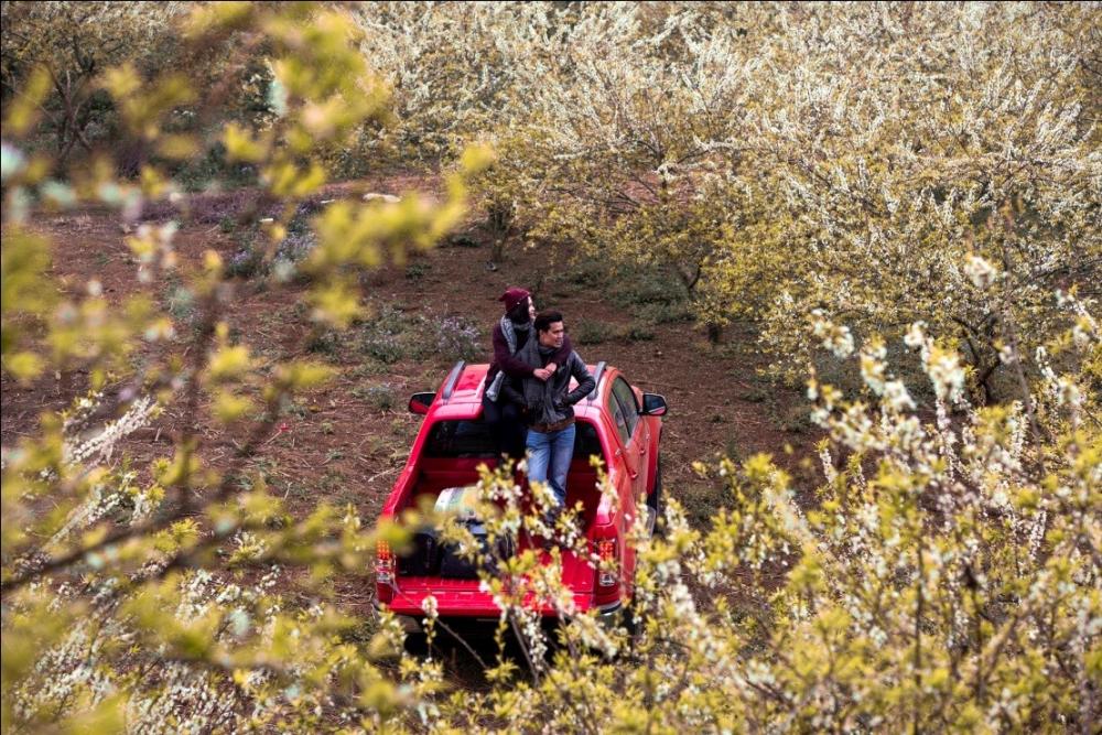 Chevrolet Colorado Chevrolet Colorado