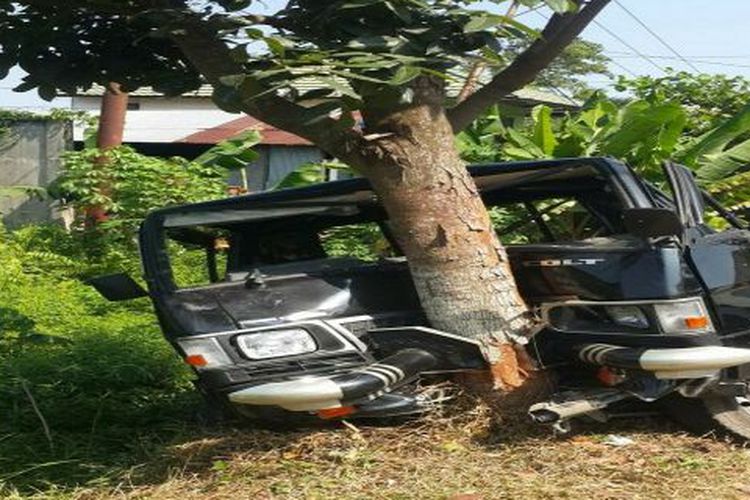 Mitsubishi Triton đâm gốc cây