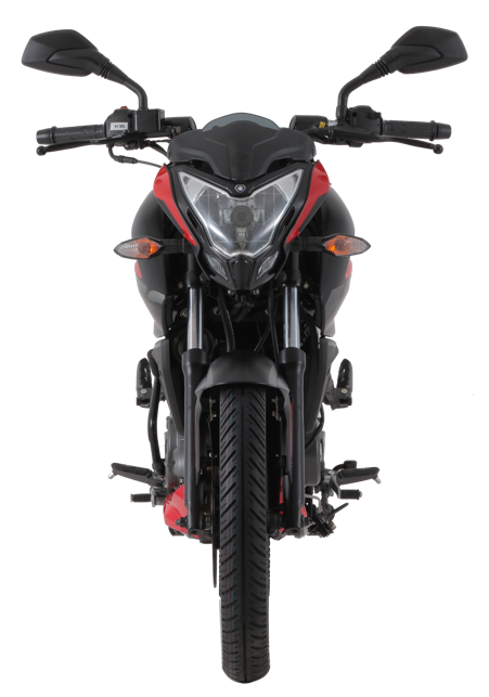 Kawasaki Rouser NS200 Kawasaki Rouser NS200