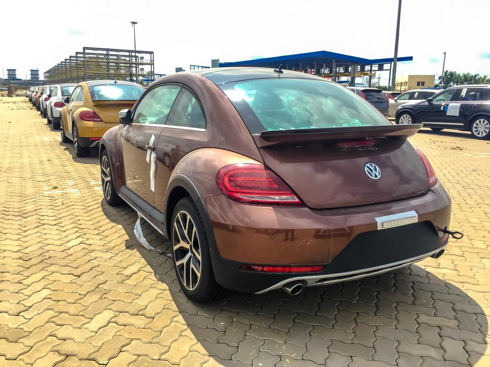 Volkswagen Beetle Dune