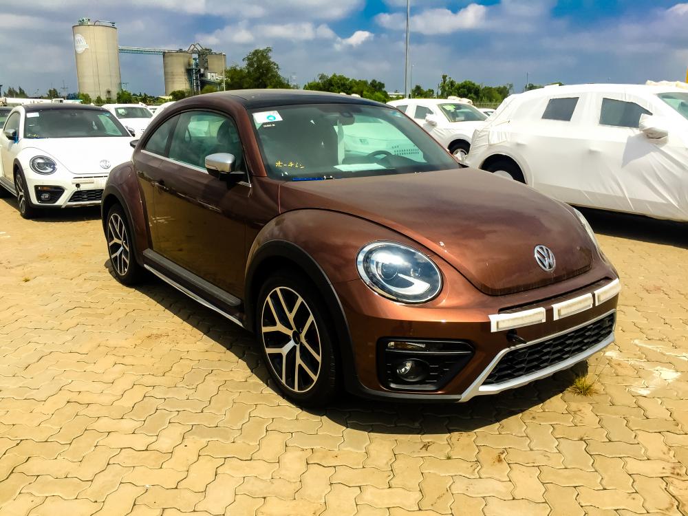 Volkswagen Beetle Dune