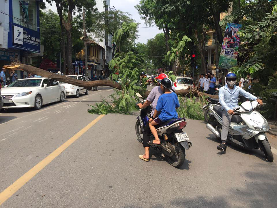 Vụ tai nạn khiến giao thông trên đường Tô Hiến Thành bị gián đoạn