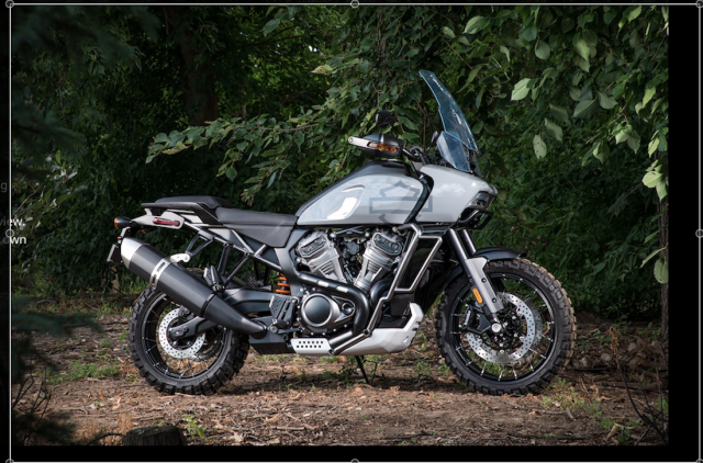 HARLEY-DAVIDSON PAN AMERICA 1250 