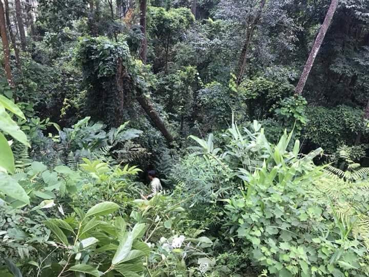 Chiếc xe chở hai nữ phượt thủ lao xuống vực khi đang đổ đèo