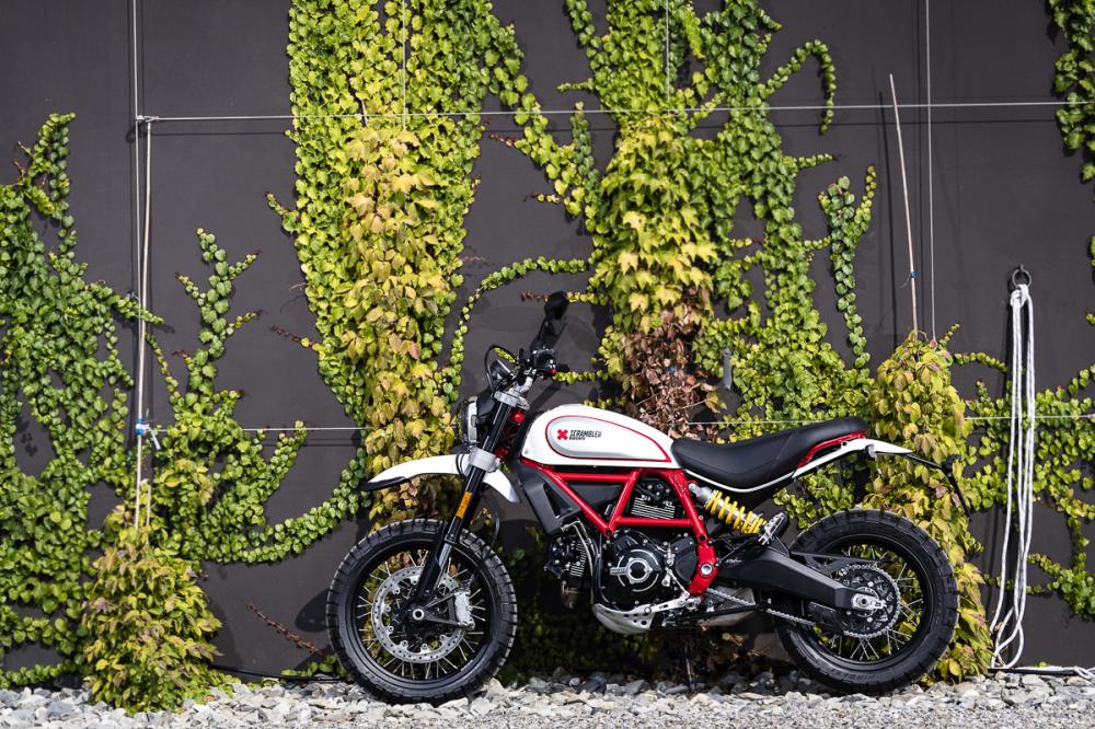 Ducati Scrambler Desert Sled 2019