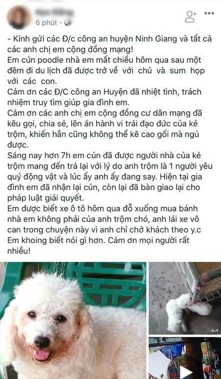 Chia sẻ của người được cho là chủ nhân của chú chó Poodle trên mạng