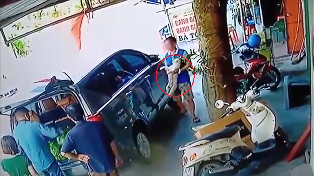 Người đàn ông bế chú chó Poodle mang lên chiếc Toyota Innova