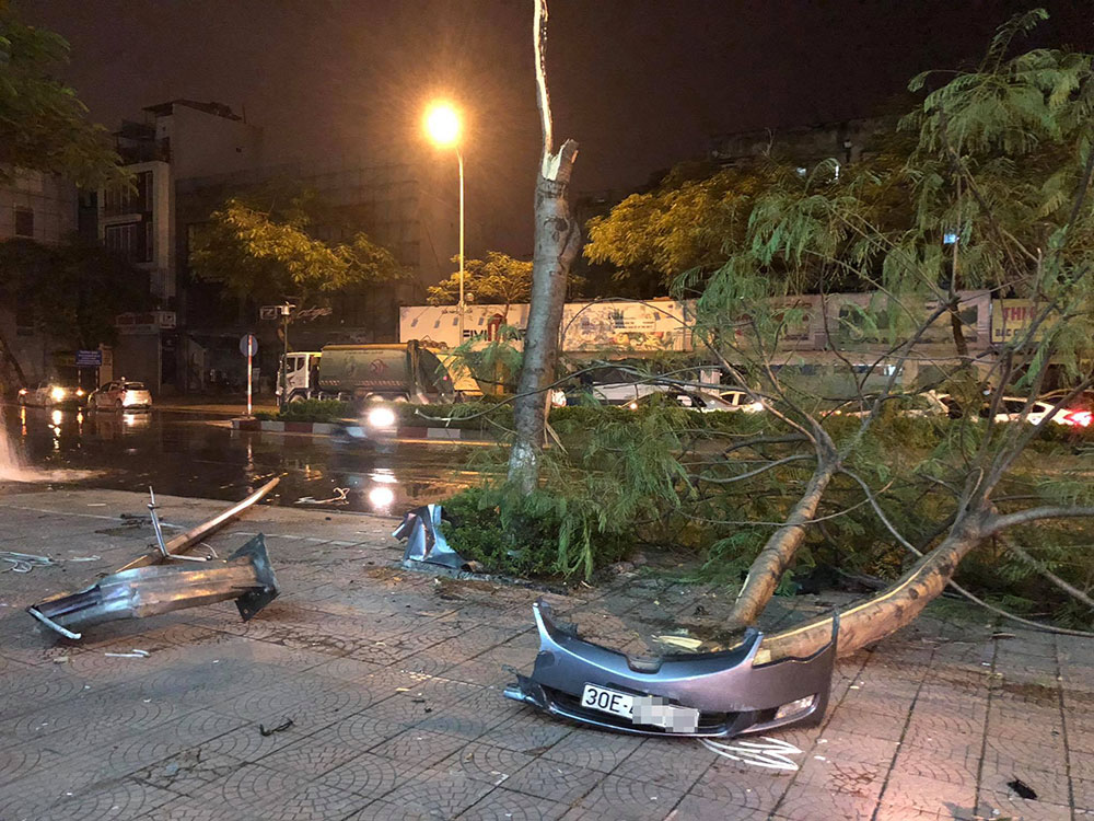 Cây phượng bị gãy đôi và cột đèn chiếu sáng nằm trên vỉa hè Cây phượng bị gãy đôi và cột đèn chiếu sáng nằm trên vỉa hè