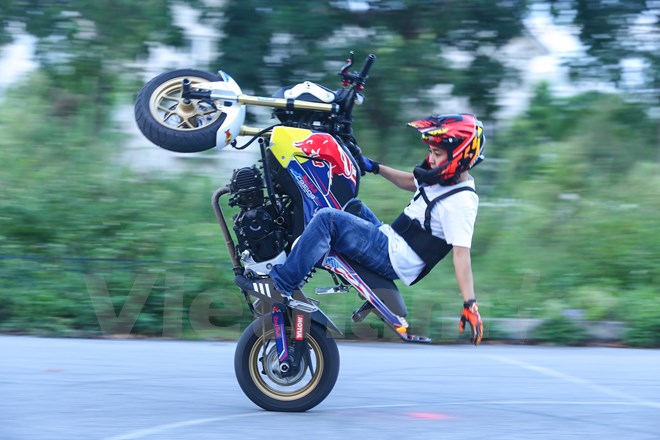 honda monkey vs msx 125