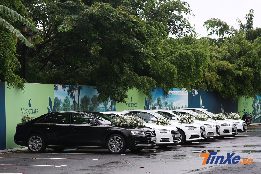 Dàn xe Audi trong đám cưới của Á hậu Dương Tú Anh