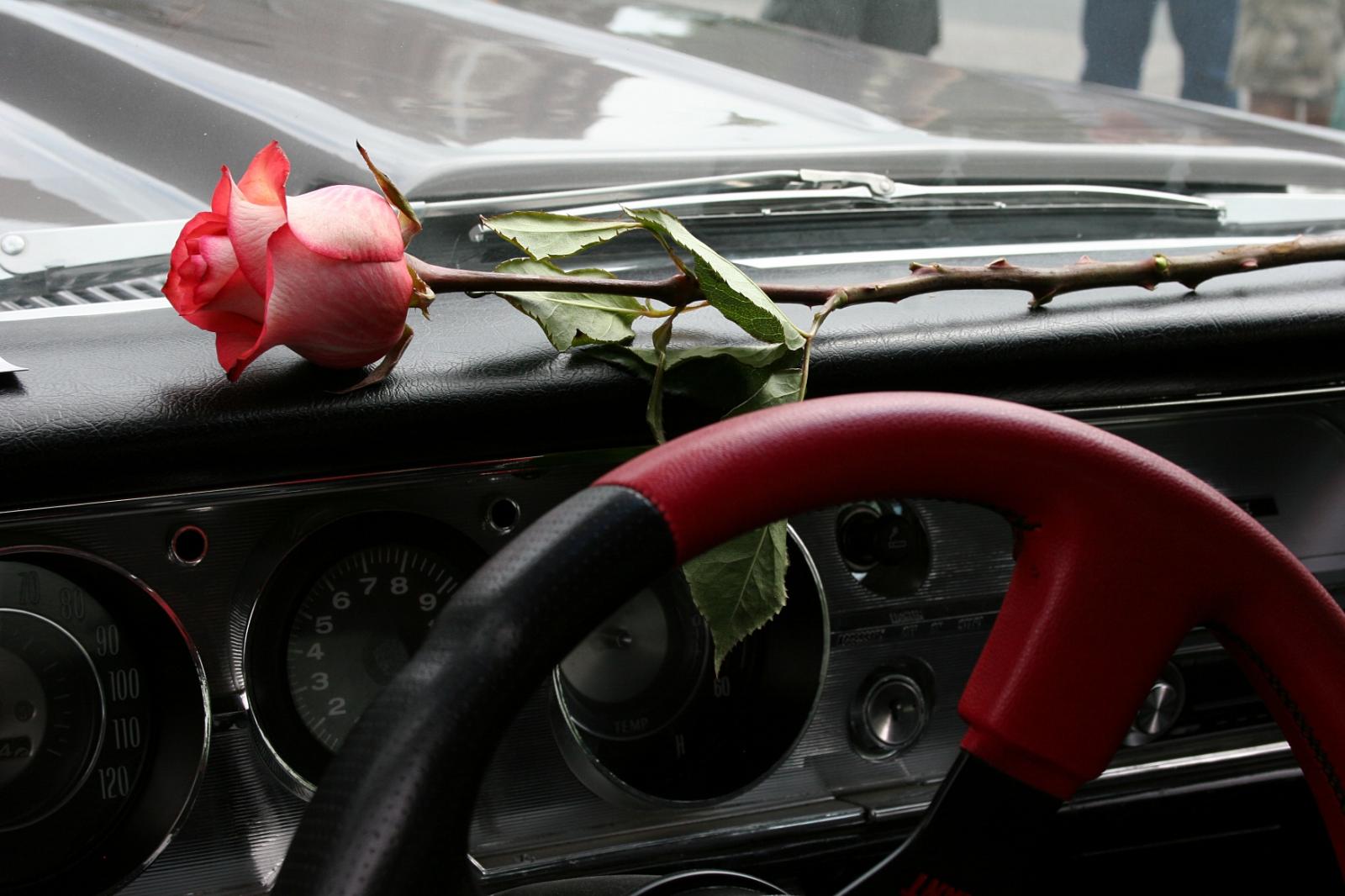 Hệ thống tỏa hương thơm của hoa hồng có thể giúp tài xế bình tĩnh và giảm bớt tai nạn giao thông 13