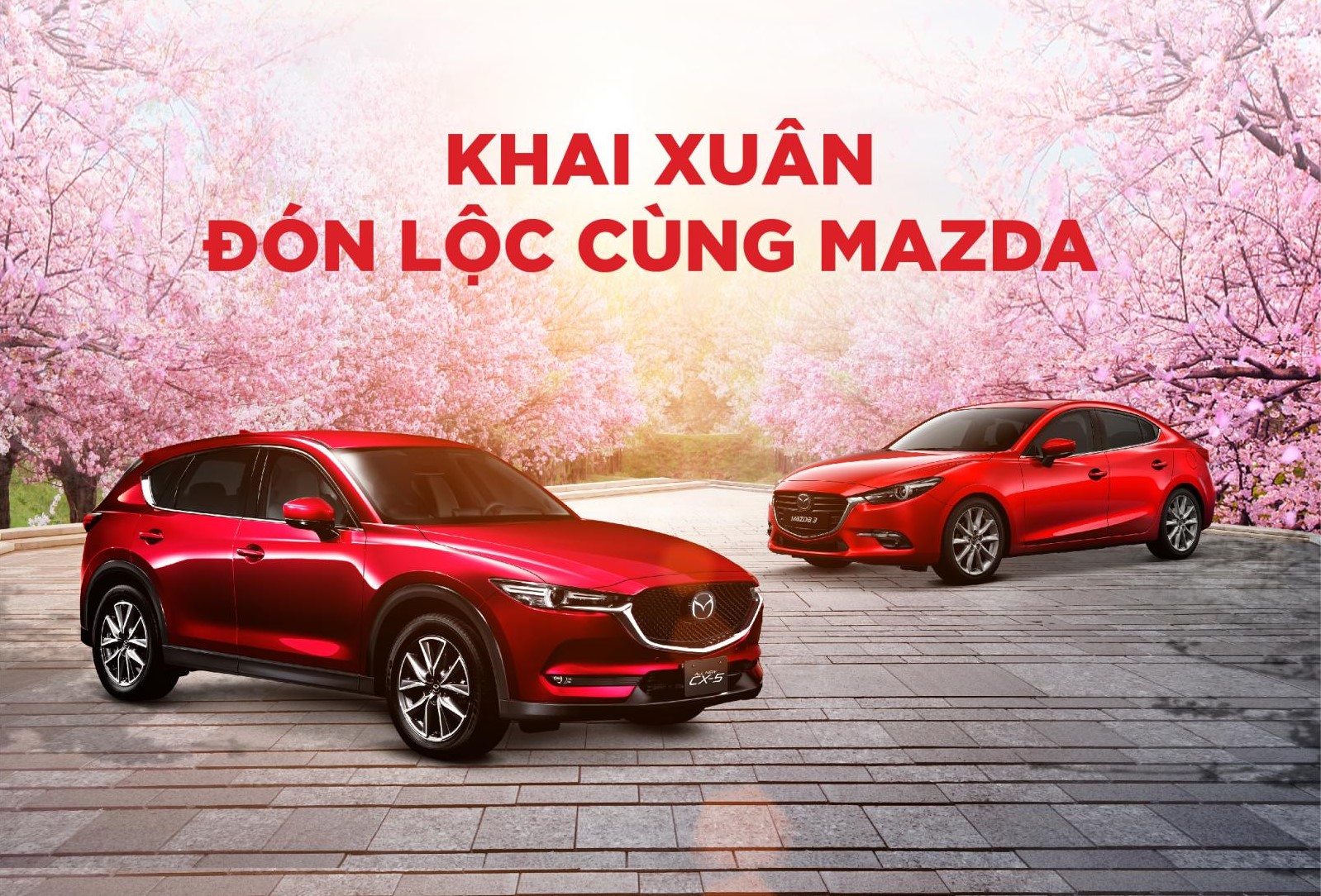 Trong tháng 2/2019, Mazda Việt Nam ưu đãi giảm giá các dòng xe cao nhất tới 30 triệu đồng Trong tháng 2/2019, Mazda Việt Nam ưu đãi giảm giá các dòng xe cao nhất tới 30 triệu đồng