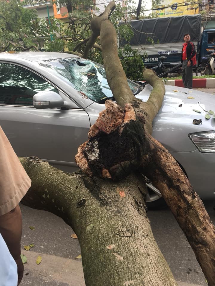 Chiếc Toyota Camry bị vỡ kính chắn gió trước Chiếc Toyota Camry bị vỡ kính chắn gió trước