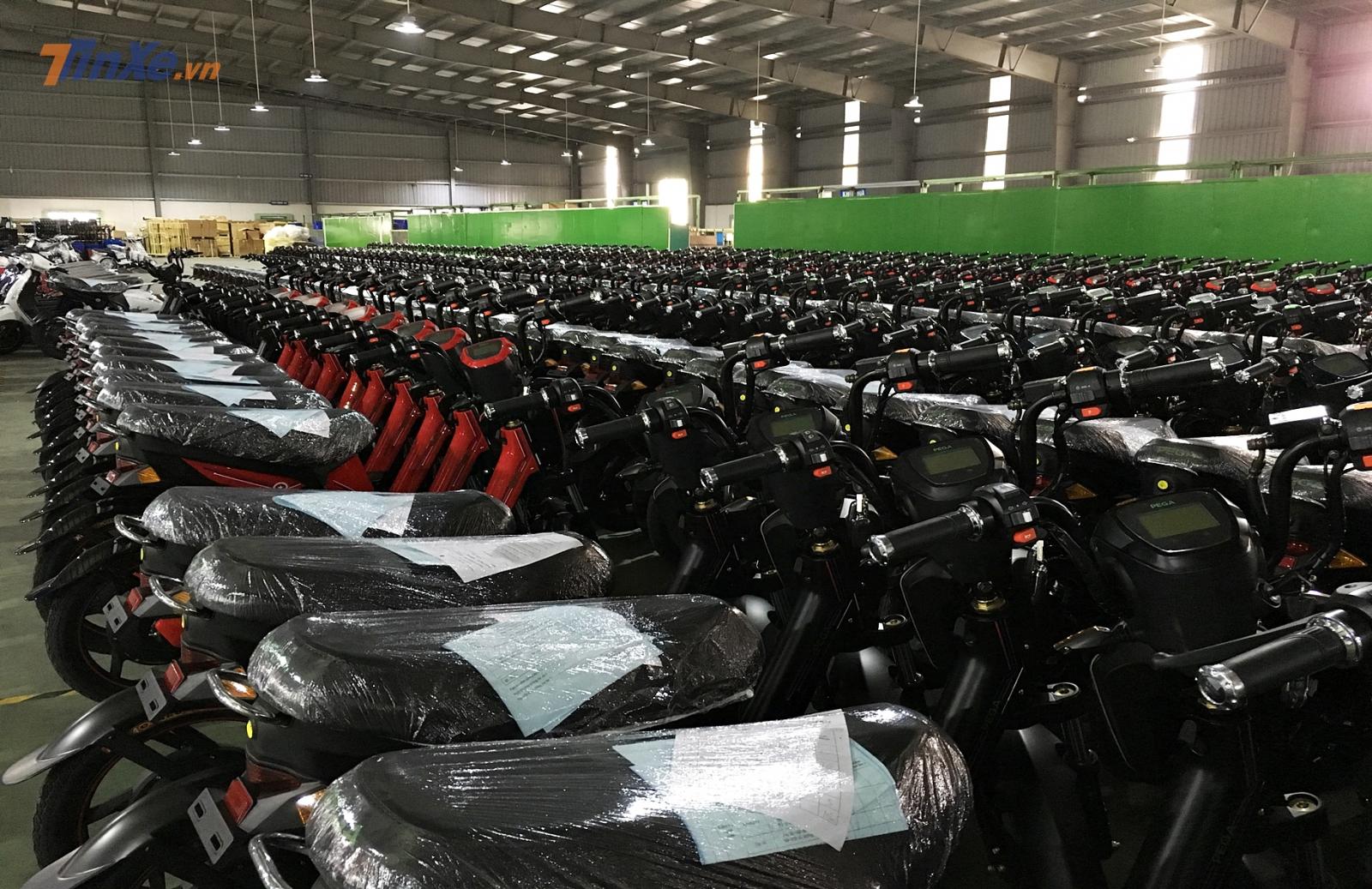 Những chiếc xe được xếp ngay ngắn chờ giám định trước khi đóng gói Những chiếc xe được xếp ngay ngắn chờ giám định trước khi đóng gói