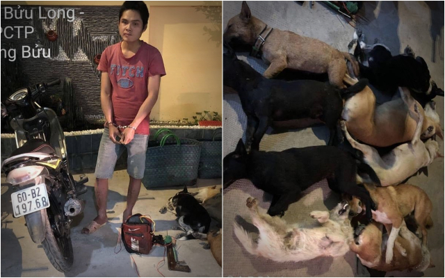 Đối tượng trộm chó bị bắt giữ tại cơ quan công an