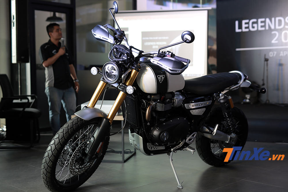 triumph 800 scrambler
