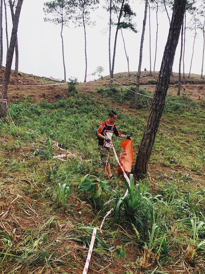 Toàn bộ line chỉ đường được buộc trên các gốc cây được tháo gỡ, trả lại vẻ đẹp tự nhiên cho rừng thông Yên Minh