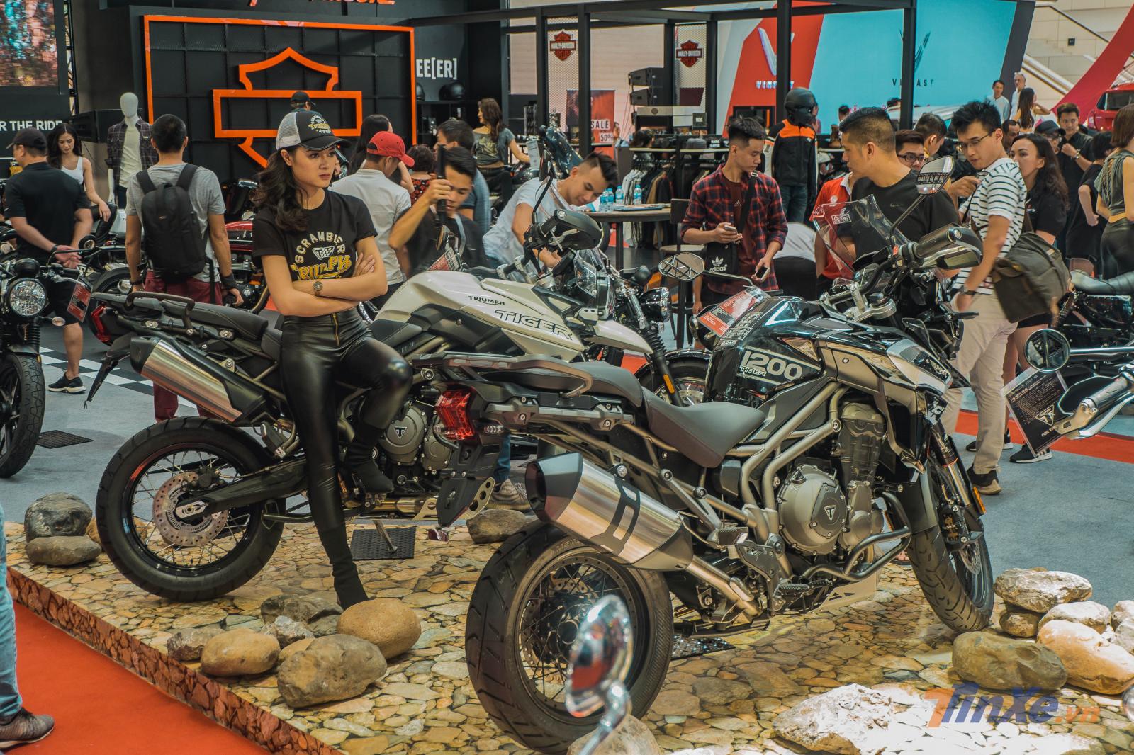 Bên cạnh Triumph Scrambler 1200 XE là bộ đôi Triumph Tiger 800 và 1200 nổi bật khiến nhiều khách thăm quan chú ý