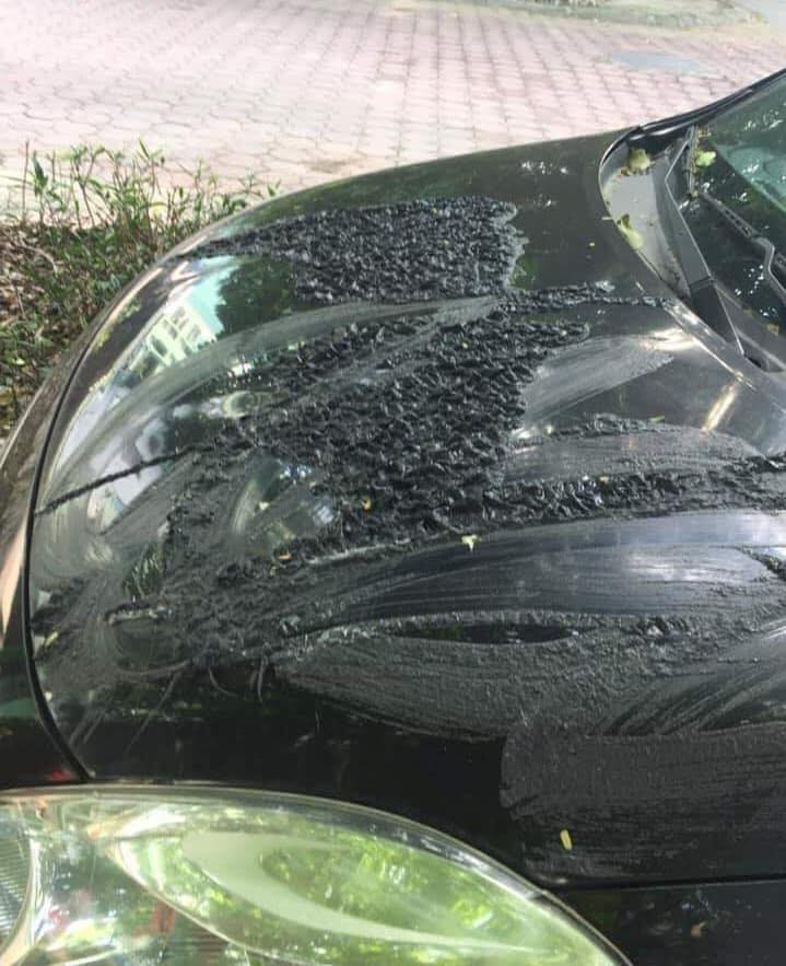 Chiếc Nissan Sunny bị sần sùi ở nắp capô