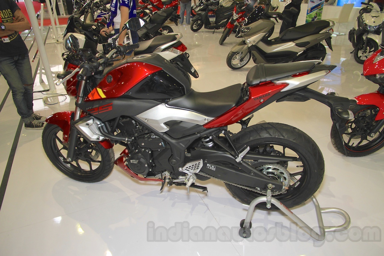 Yamaha MT-25 hiện tại