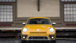 Volkswagen Beetle Dune