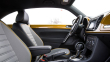 Volkswagen Beetle Dune