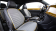 Volkswagen Beetle Dune