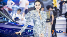Ngắm nhìn những bóng hồng tuyệt mỹ tại triển lãm VMS 2019