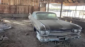 "Bà trùm cò" xe Cadillac phát hiện ra 1 báu vật đã nằm im trong nhà kho suốt 20 năm