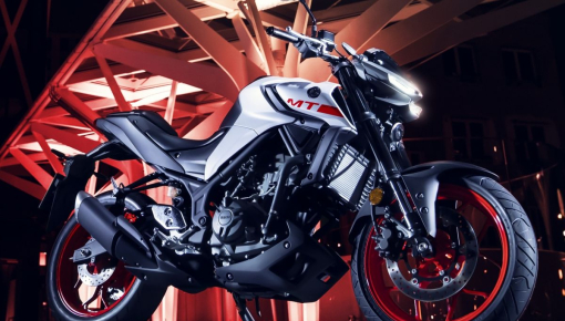 Yamaha MT-25 và Yamaha MT-03 2020 có giá bán chính thức, khởi điểm 88 triệu đồng