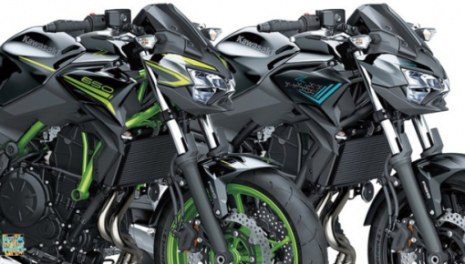 Kawasaki Z650 phiên bản 2021 ra mắt với màu mới "bảnh chọe"