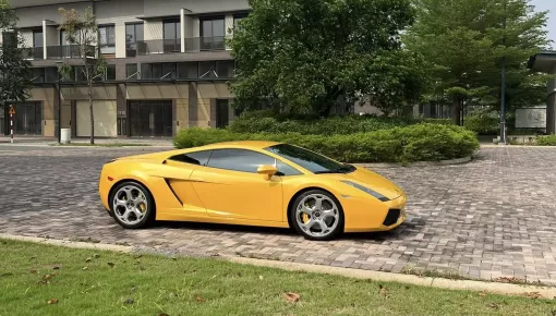 "Bò già" Lamborghini Gallardo của doanh nhân Long An