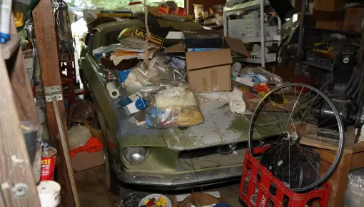 Phát hiện "rắn hổ mang" Shelby GT500 1967 bị bỏ quên trong nhà kho hơn 38 năm