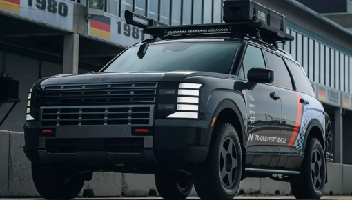 Hyundai Palisade phiên bản độc nhất vô nhị nhưng không bán ra thị trường