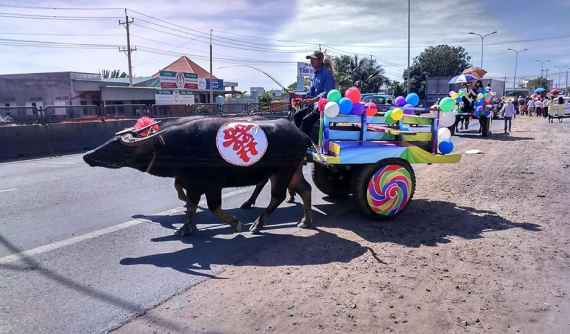 Xôn xao với màn rước dâu bằng 14 con trâu ở Bình Thuận