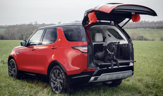 Chào mừng năm Tuất, Land Rover cho ra mắt bộ phụ kiện cho chó cưng
