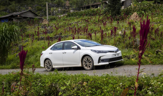 Toyota chỉ bán được 14 xe nhập nguyên chiếc trong tháng 2