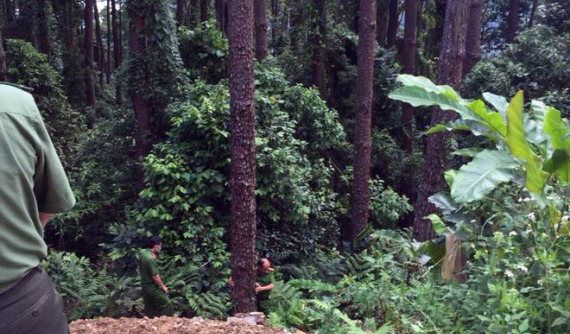 Tam Đảo: Cặp đôi "phượt thủ" đổ đèo bằng xe máy lao xuống vực, 2 người thương vong