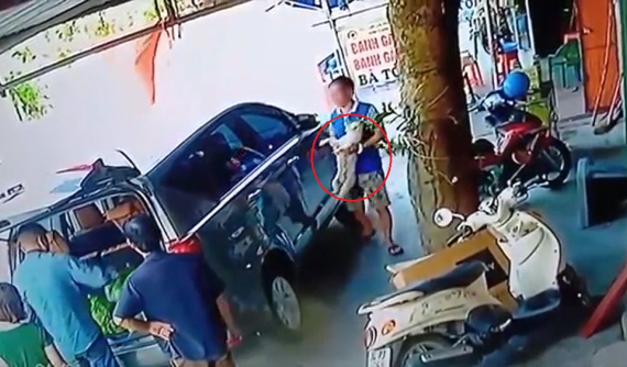 Người đàn ông đi Toyota Innova rồi tiện tay ăn trộm chó Poodle: Chỉ vì yêu động vật