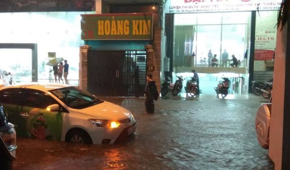 Sài Gòn: Mưa bão lớn gây ngập lụt, đổ cây tại nhiều khu vực