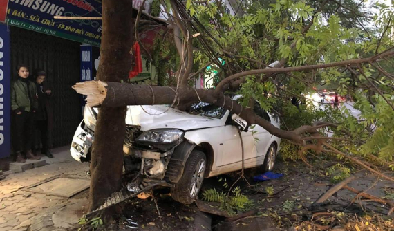 Hà Nội: Xe sang Mercedes-Benz đâm gãy cây phượng trong đêm
