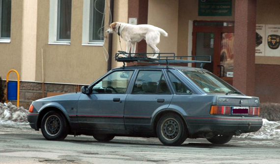 11 điều luật lệ giao thông cực quái dị ở Mỹ