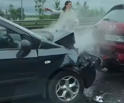 Chuyện lạ: Gia đình vịt gây nên tai nạn hỗn loạn trên đường cao tốc ở Nga