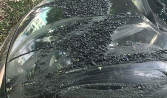 Hà Nội: Cặp đôi ô tô bị bôi bẩn, nghi là do chủ xe không gửi vào bãi trông giữ tự phát