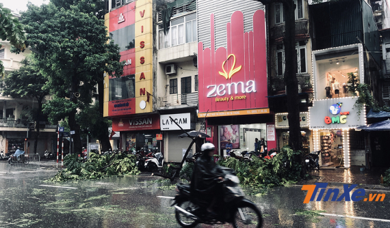 Bão Wipha suy yếu vẫn gây mưa to gió giật, cây đổ la liệt trên nhiều tuyến phố Hà Nội