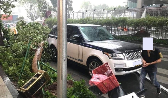 Đến cây xanh ngã cũng phải "né" xe sang tiền tỷ Range Rover khiến cộng đồng mạng thích thú