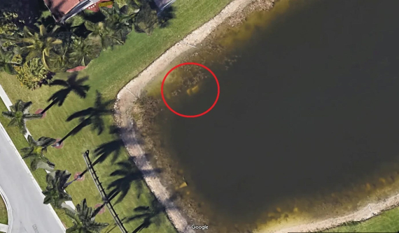 Chuyện lạ: Hình ảnh Google Earth giúp phát hiện chiếc xe và tài xế bị mất tích đã 22 năm