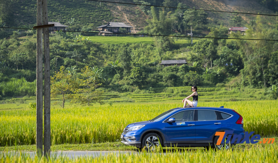 Bí kíp du lịch Mù Cang Chải để ngắm "mùa vàng Tây Bắc"