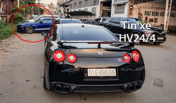 "Gà chiến" hàng hiếm ít ai chơi một cặp tại Việt Nam của doanh nhân Sài thành